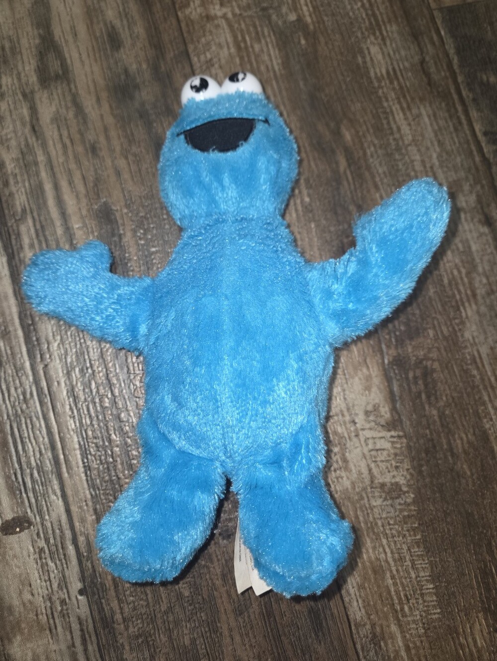 🍪 Mini Sesame Street Cookie Monster Plush 🍪